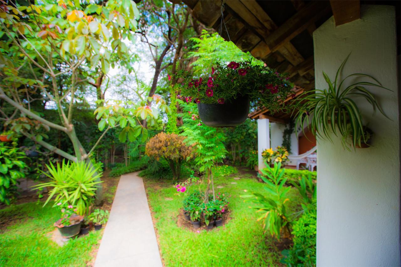 Hostal La Parroquia En Comala المظهر الخارجي الصورة